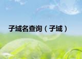 子域名查詢（子域）