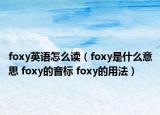 foxy英語(yǔ)怎么讀（foxy是什么意思 foxy的音標(biāo) foxy的用法）