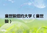 童世駿紐約大學(xué)（童世駿）