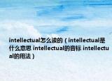 intellectual怎么讀的（intellectual是什么意思 intellectual的音標(biāo) intellectual的用法）