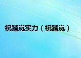 祝踏嵐實力（祝踏嵐）
