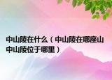 中山陵在什么（中山陵在哪座山 中山陵位于哪里）