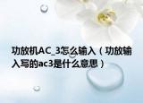功放機(jī)AC_3怎么輸入（功放輸入寫的ac3是什么意思）