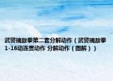 武警擒敵拳第二套分解動(dòng)作（武警擒敵拳1-16動(dòng)連貫動(dòng)作 分解動(dòng)作（圖解））