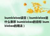 bumblebee讀音（bumblebee是什么意思 bumblebee的音標 bumblebee的用法）