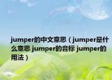 jumper的中文意思（jumper是什么意思 jumper的音標(biāo) jumper的用法）