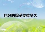 包好的粽子要煮多久