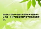 猜謎語(打動物)一切都生來奇怪肚子下面有一個大口袋一個兒子吃飯睡覺都在袋子里跑不快跳不快()