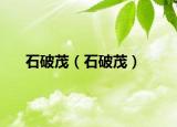 石破茂（石破茂）