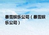 暴雪娛樂(lè)公司（暴雪娛樂(lè)公司）