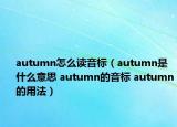 autumn怎么讀音標（autumn是什么意思 autumn的音標 autumn的用法）