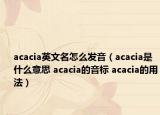 acacia英文名怎么發(fā)音（acacia是什么意思 acacia的音標(biāo) acacia的用法）