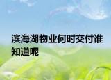 濱海湖物業(yè)何時(shí)交付誰知道呢