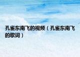 孔雀東南飛的視頻（孔雀東南飛的歌詞）