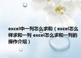 excel中一列怎么求和（excel怎么樣求和一列 excel怎么求和一列的操作介紹）