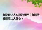 有沒有讓人心靜的佛經(jīng)（有那些佛經(jīng)能讓人靜心）