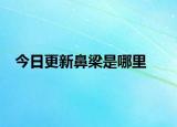 今日更新鼻梁是哪里
