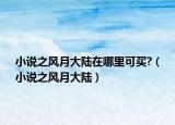 小說之風(fēng)月大陸在哪里可買?（小說之風(fēng)月大陸）