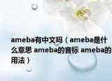 ameba有中文嗎（ameba是什么意思 ameba的音標 ameba的用法）