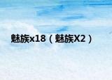 魅族x18（魅族X(qián)2）
