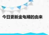 今日更新金龜婿的由來(lái)