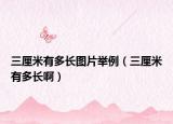 三厘米有多長圖片舉例（三厘米有多長啊）