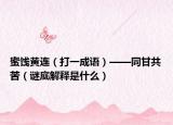 蜜餞黃連（打一成語）——同甘共苦（謎底解釋是什么）