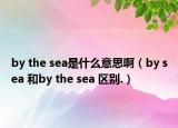 by the sea是什么意思啊（by sea 和by the sea 區(qū)別.）
