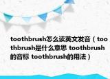 toothbrush怎么讀英文發(fā)音（toothbrush是什么意思 toothbrush的音標(biāo) toothbrush的用法）