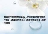酸雨對生物的危害是()a  .嚴(yán)重影響各種生物的生存b  .造成富營養(yǎng)化c  .造成生物蓄積d  .誘發(fā)水俁病