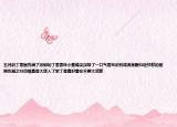 五月的丁香園充滿了濃郁的丁香香味小蜜蜂深深吸了一口氣香味濃烈得渾身顫抖輕紗般的翅膀也隨之抖動嘿真香太迷人了紫丁香真好看你不要太武斷