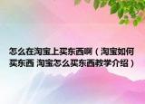 怎么在淘寶上買東西?。ㄌ詫毴绾钨I東西 淘寶怎么買東西教學(xué)介紹）