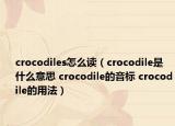 crocodiles怎么讀（crocodile是什么意思 crocodile的音標(biāo) crocodile的用法）