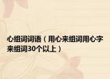 心組詞詞語（用心來組詞用心字來組詞30個以上）