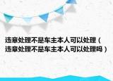 違章處理不是車主本人可以處理（違章處理不是車主本人可以處理嗎）