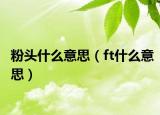粉頭什么意思（ft什么意思）
