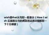 wish接that從句時一般表示（How I wish 后面跟從句的具體用法請?jiān)敿?xì)解釋一下十分感謝）