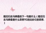 踏花歸去馬蹄香的下一句是什么（踏花歸去馬蹄香是什么意思?它的出處它的意思.）