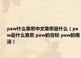 paw什么意思中文意思是什么（paw是什么意思 paw的音標 paw的用法）