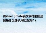 有steel（mate英文字樣的防盜器是什么牌子,可以配嗎?）