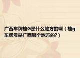 廣西車牌桂G是什么地方的?。ü餲車牌號是廣西哪個地方的?）