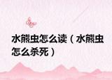 水熊蟲(chóng)怎么讀（水熊蟲(chóng)怎么殺死）