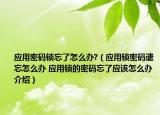 應用密碼鎖忘了怎么辦?（應用鎖密碼遺忘怎么辦 應用鎖的密碼忘了應該怎么辦介紹）