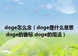 doge怎么念（doge是什么意思 doge的音標(biāo) doge的用法）
