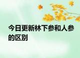 今日更新林下參和人參的區(qū)別