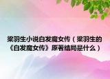 梁羽生小說白發(fā)魔女傳（梁羽生的《白發(fā)魔女傳》原著結(jié)局是什么）