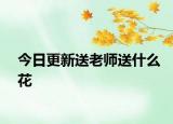 今日更新送老師送什么花