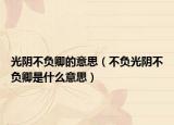 光陰不負(fù)卿的意思（不負(fù)光陰不負(fù)卿是什么意思）
