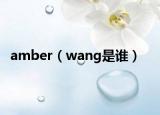 amber（wang是誰(shuí)）