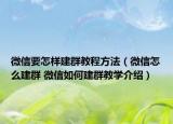 微信要怎樣建群教程方法（微信怎么建群 微信如何建群教學(xué)介紹）